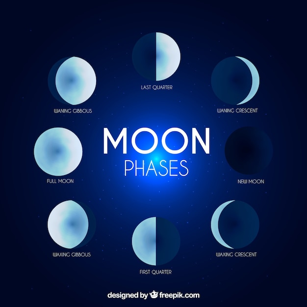 Free vector phases of the moon in flat design