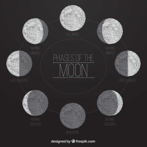 Phases of the moon in hand-drawn style