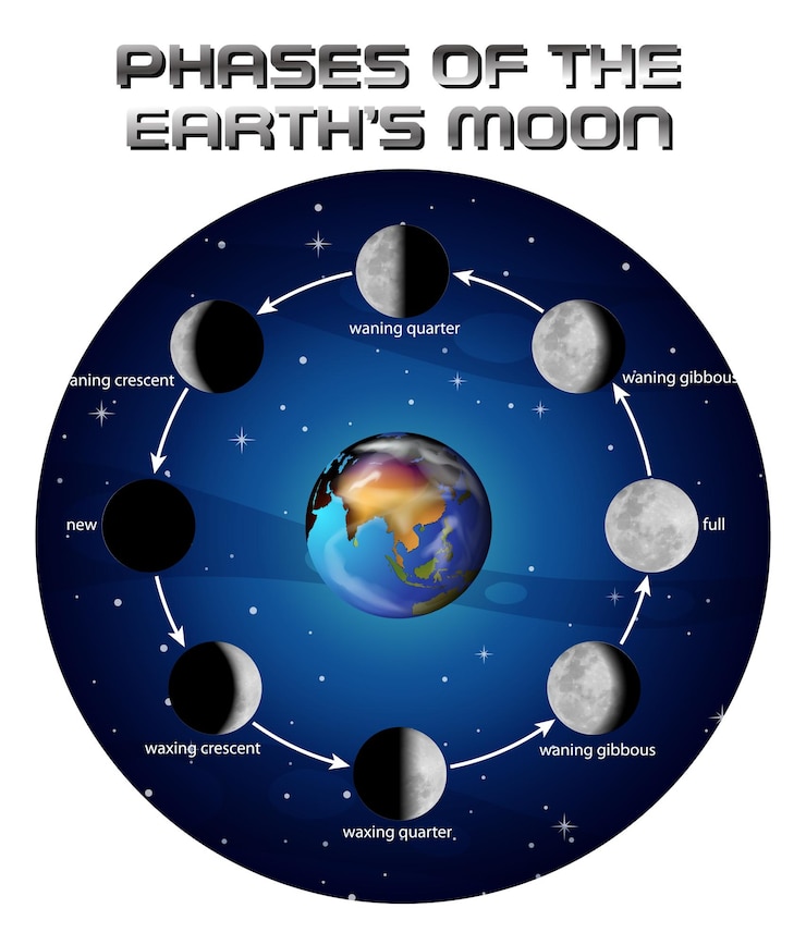 Free Vector phases of the moon for science education
