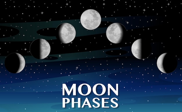 Free vector phases of the moon for science education