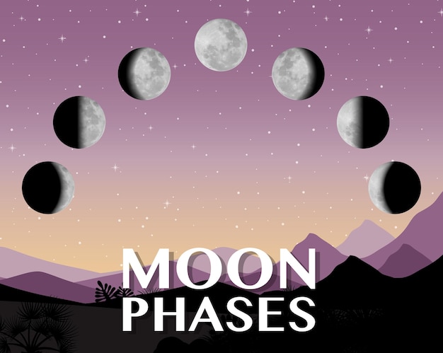 Free vector phases of the moon for science education