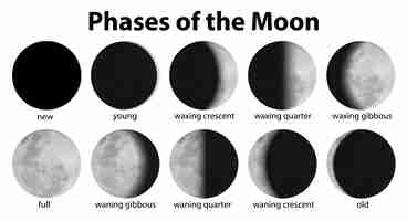 Free vector phases of the moon