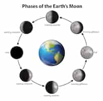 無料ベクター 地球の月のフェーズ