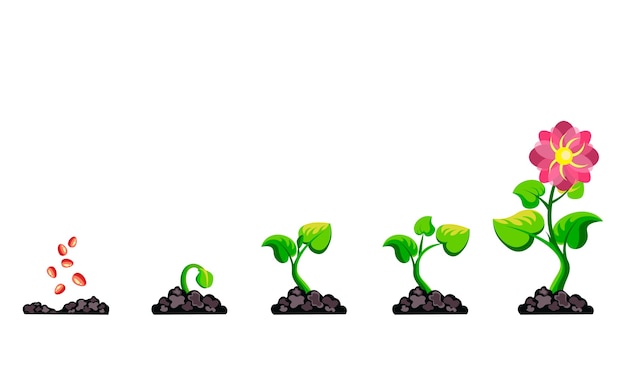 25 植物 成長 イラスト フリー 21年の壁紙画像とても良いhdr