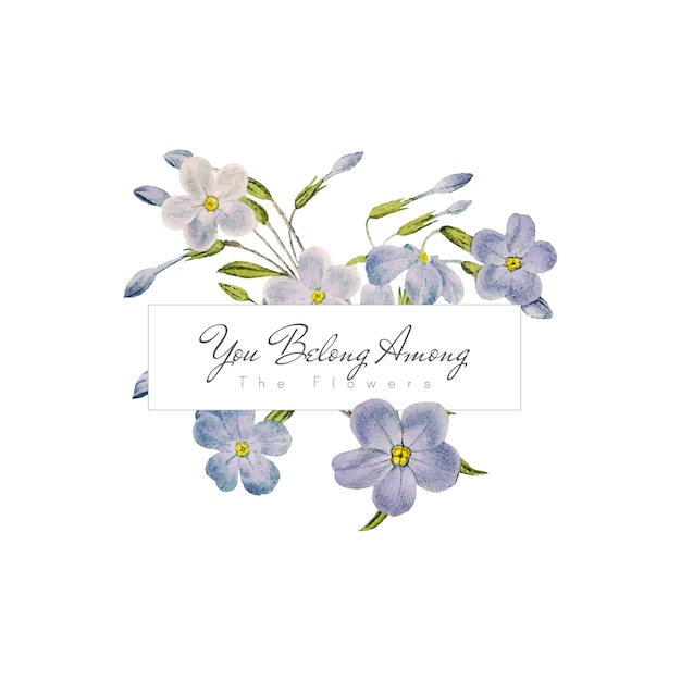 Phlox flowers banner