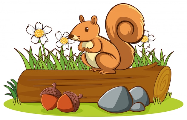 Free vector picture of cute squirrel