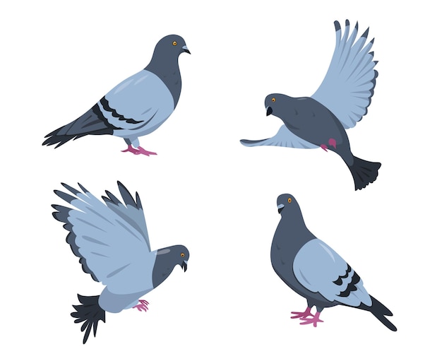 月桂樹の鳩はフラットなデザインで葉 無料のベクター