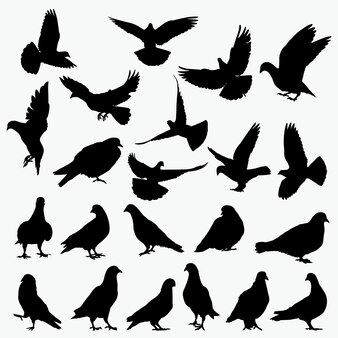 ピジョンまたは鳩のシルエット プレミアムベクター ピジョンまたは鳩のシルエット プレミアムベクター