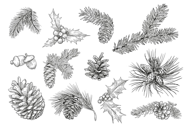 Free vector pine branches isolated hand drawing illustration set