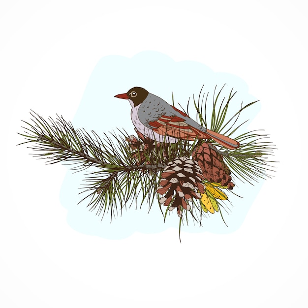 Pine branches with bird