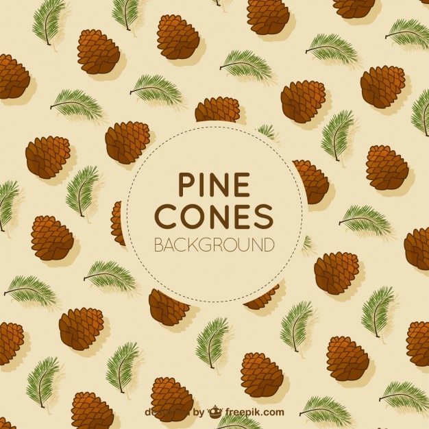 Pine cones background