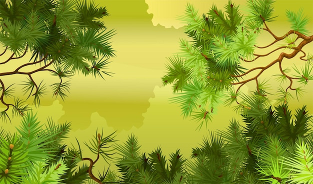 pine forest background