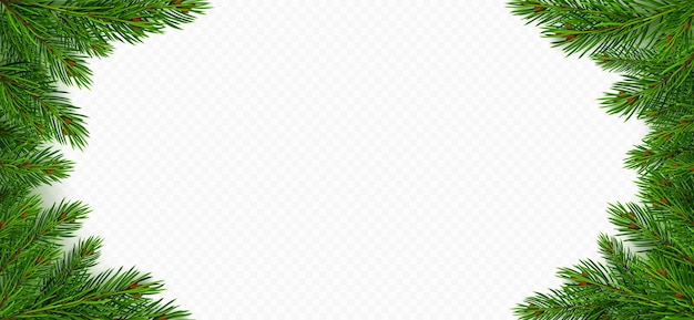 Free vector pine tree branch border green fir twigs frame