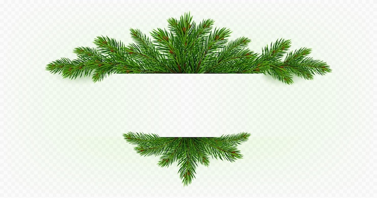 Free Vector pine tree branch fir twigs with green needles