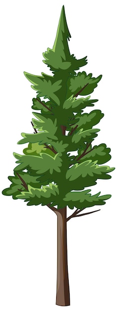 Pine tree in cartoon style isolated
