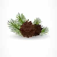 Free vector pine tree cones and twigs