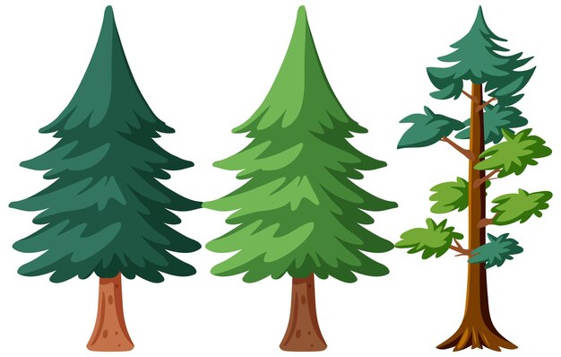 Pine tree in different shapes