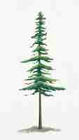 Free vector pine tree element graphic  on plain background