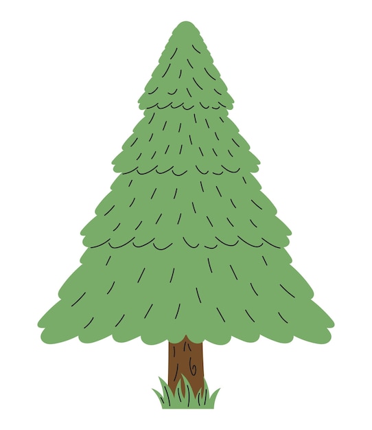 Free vector pine tree plant forest