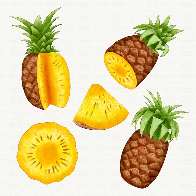 Free vector pineapple collection