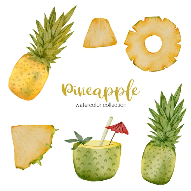 Pineapple in watercolor collection, full of fruit and cut into pieces and juice