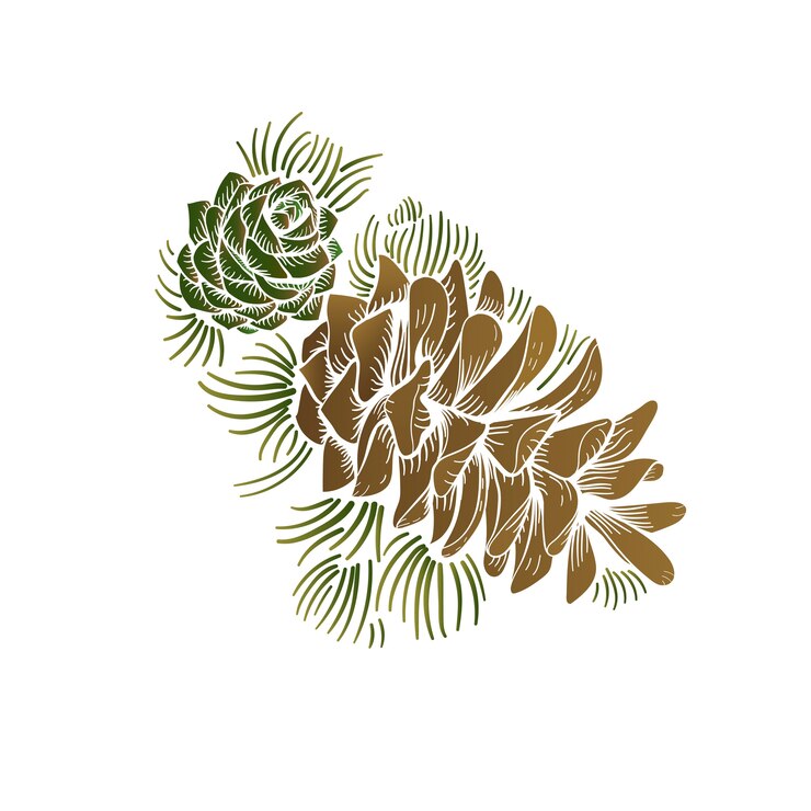 Free Vector pinecone