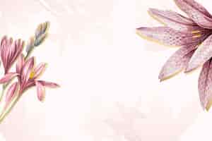 Бесплатное векторное изображение Розовый амариллис узор фона вектор