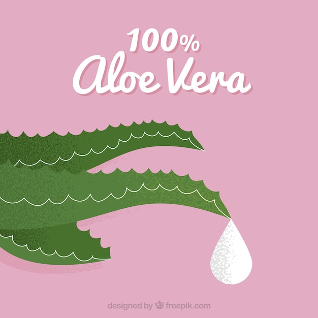 Pink background with aloe vera