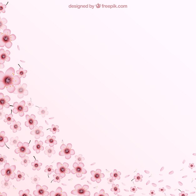 Pink background with cherry blossoms