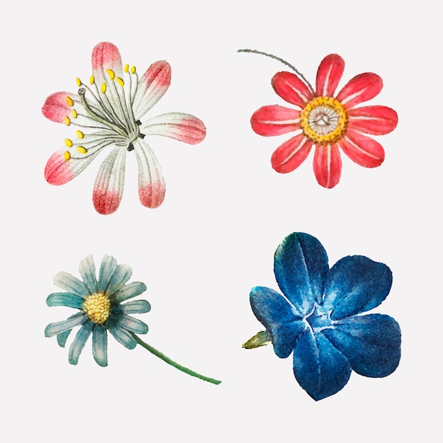 Vettore gratuito illustrazione dell'annata stabilita di vettore del fiore rosa e blu