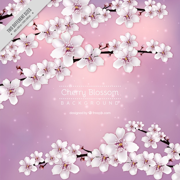 Free vector pink cherry blossom background