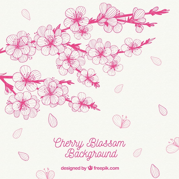 Free vector pink cherry blossom background