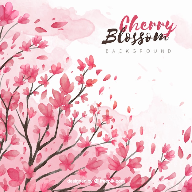 Pink cherry blossom background