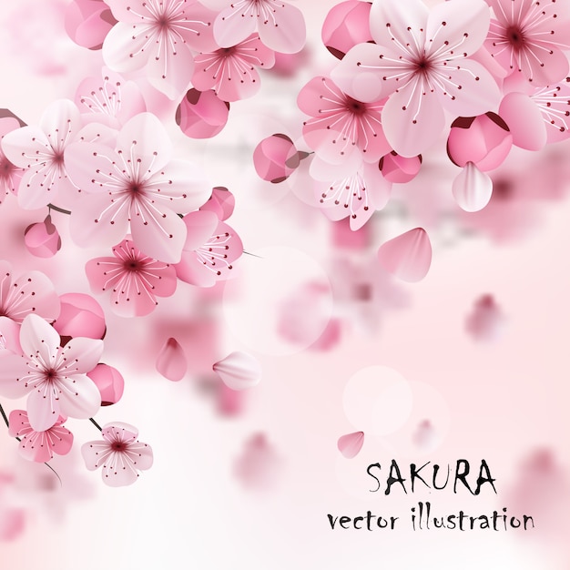 Free vector pink cherry sakura print