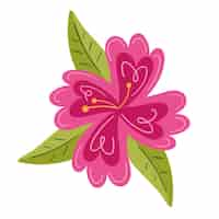 Free vector pink exotic flower