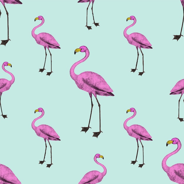 Pink flamingo wallpaper