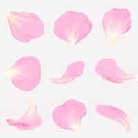 Free vector pink flower petal illustration vector set