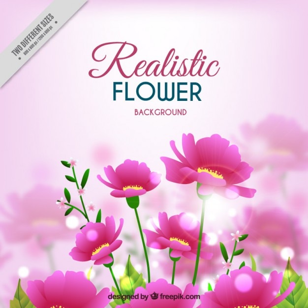 Free vector pink flowers background in realistic style