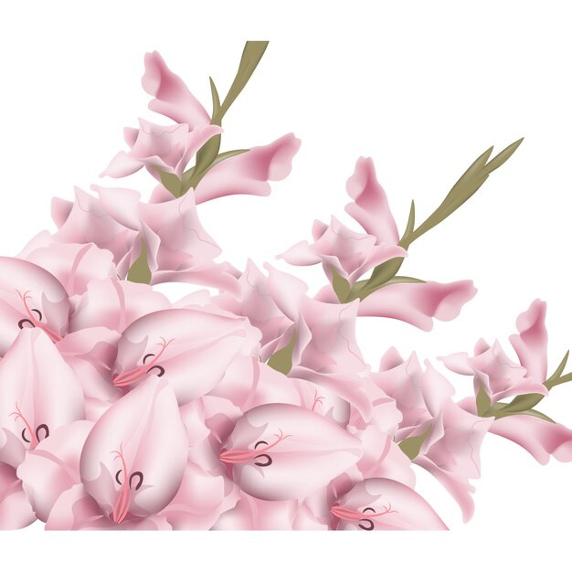 Pink flowers background