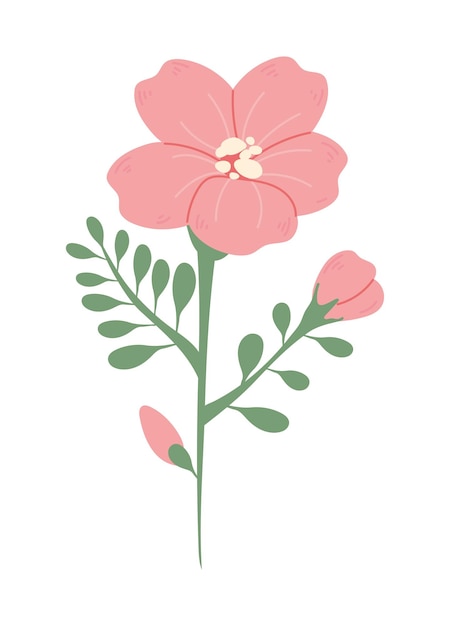 Free vector pink flowers season spring icon isolated