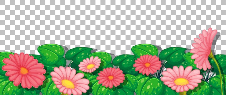 Free Vector pink flowers with leaves on transparent background