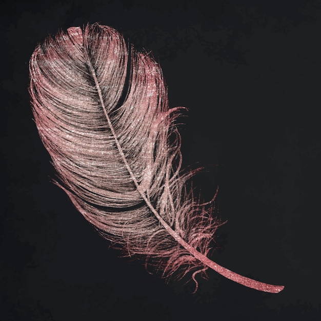 Free vector pink glittery feather element vector in black background