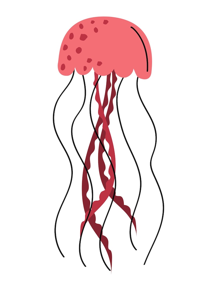 Free Vector pink jellyfish design over white