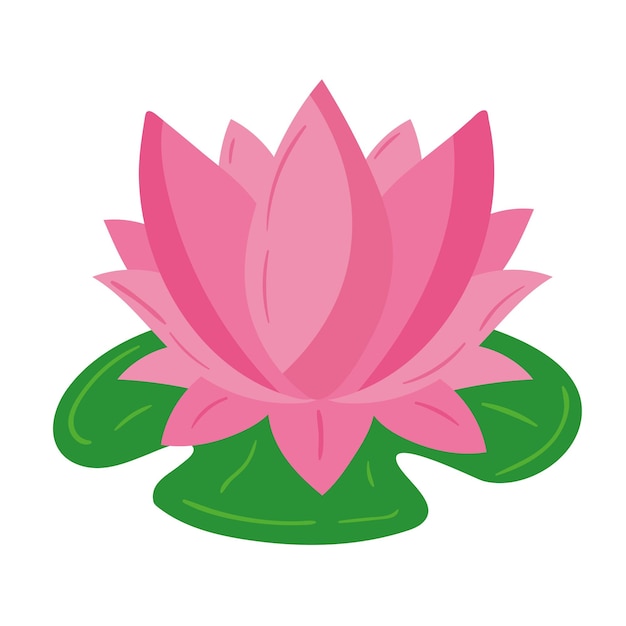 Free vector pink lotus flower