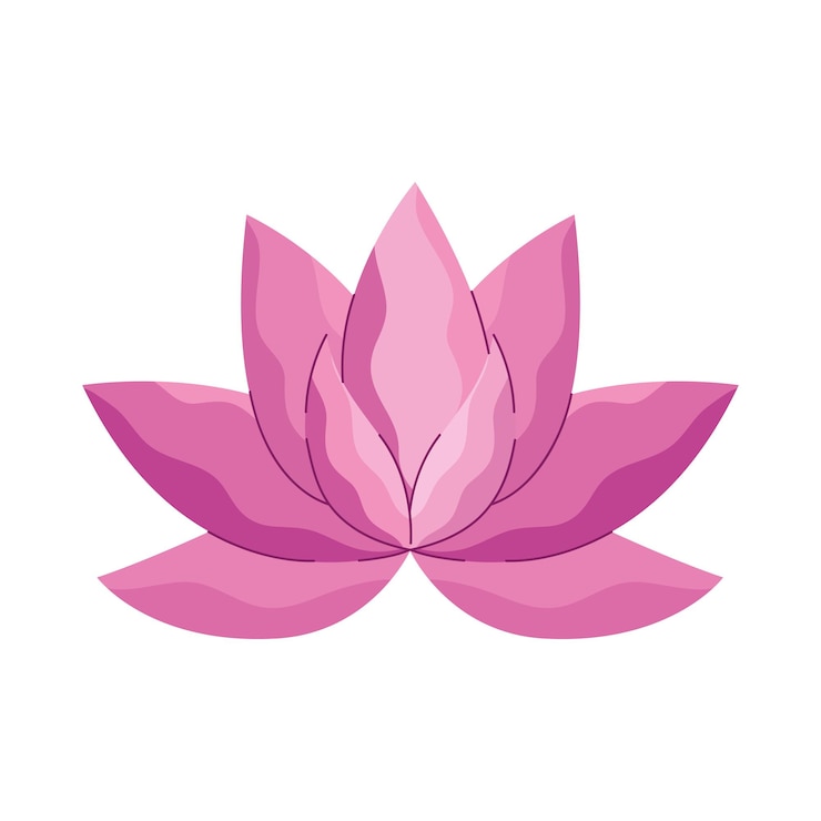 Free Vector pink lotus flower