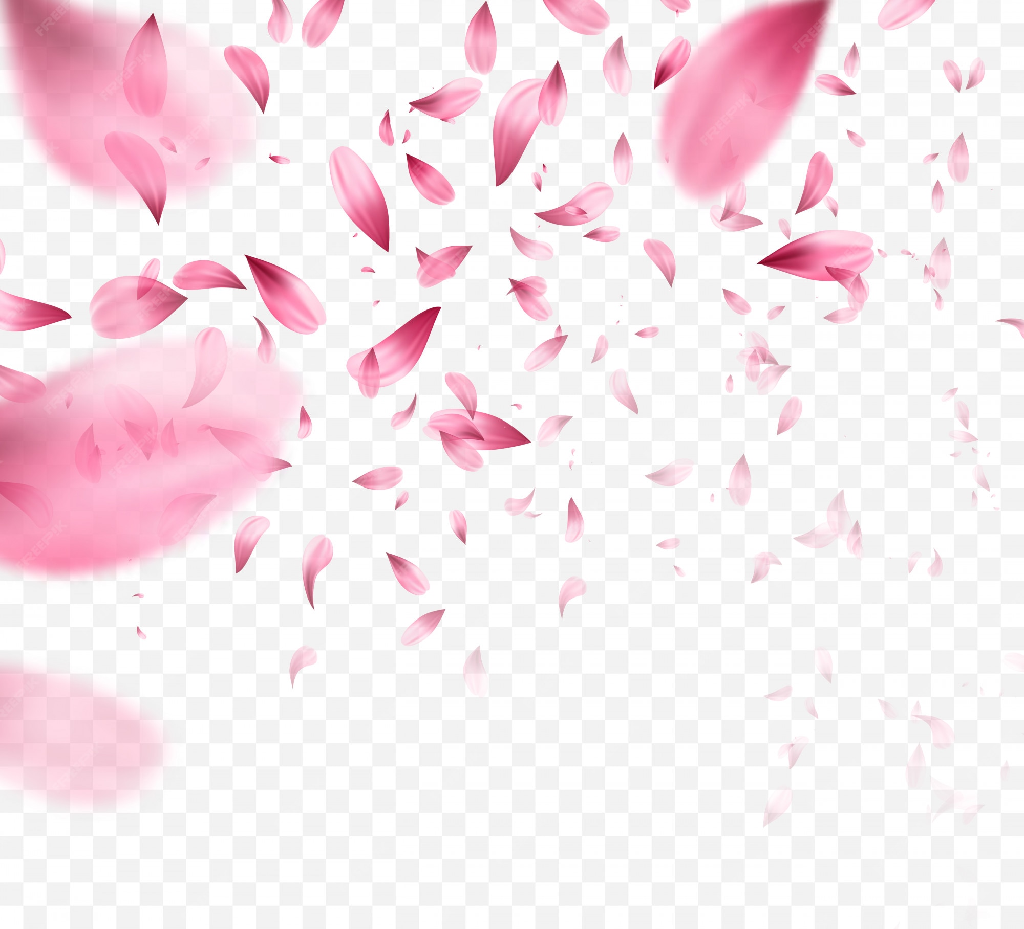 花びら 画像 無料のベクター ストックフォト Psd