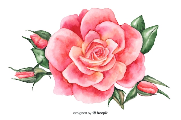 Pink watercolor coral flower