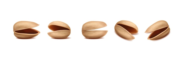 Pistachio shell in different shapes