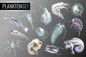 Free vector plankton transparent set