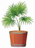 Free vector plant in barrell pot